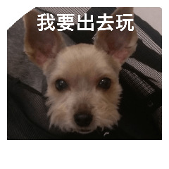 波波將