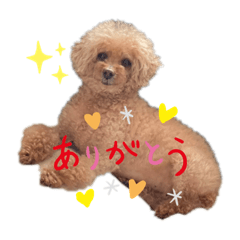 emily_20211121185630