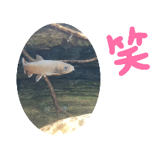 nozomi_20211121185238