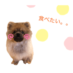 SAYA_20211121220140