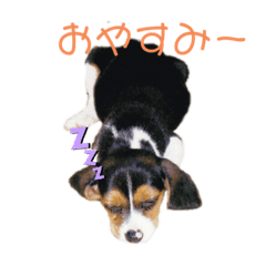 Takuya_20211121220530