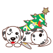 End of year.Cheerful Dalmatian.