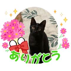 hana_20211122084308