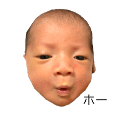 yukari_20211122103719