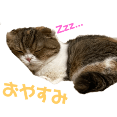 Risa_Kaede