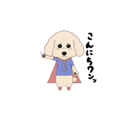 superdog(toy poodle)