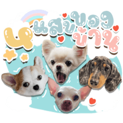 Iamnook_20211122013738