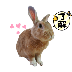 hana_20211122104603