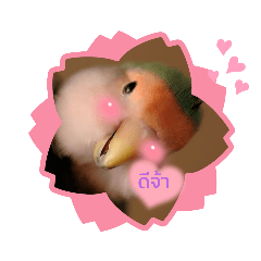 smile_20211121145323