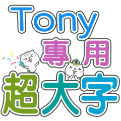 525(Tony)Name Sticker- large