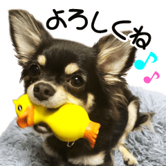 Uchinoko STAMP rin-chan