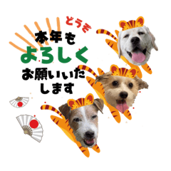 コフィエマ&すーちゃん2021-2022