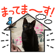 hana_20211122164252
