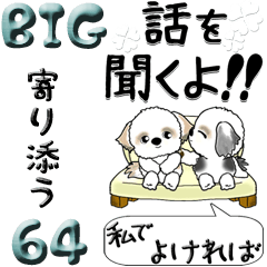 【Big】シーズー犬 64『大切な人に』