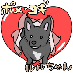 A adorable dog, Ruru-chan