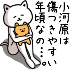 Sticker of OGAWARA(CAT)