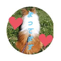 miki20200705