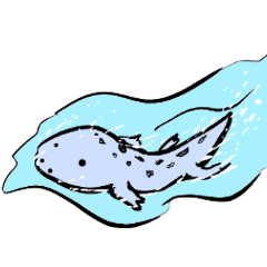 Giant salamanders