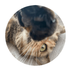 smile_20211122193512