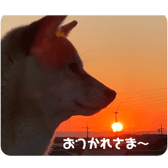 janmakomoko