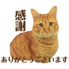 junko_20211122220924