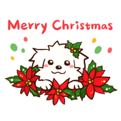 Happy Cotonese 5 - Christmas Holidays