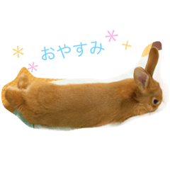 Hanachan stamp by chiharu
