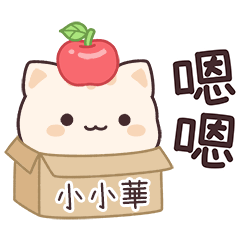 小星貓姓名貼2_小小華專用