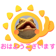 pupupun_20211122174032