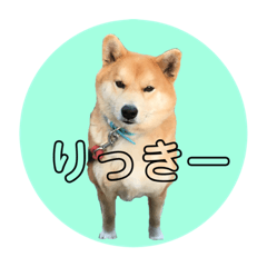 yuka_20211123113336