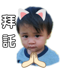 QQOO聖