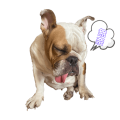 英鬥女孩米糕妹子