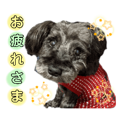 Mizuki_20211123130645