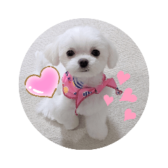 tomo@omochi_20211123141640