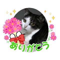 kuu_20211123152136