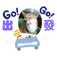 柴柴可樂