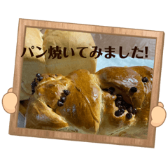 ringo_20211123162510