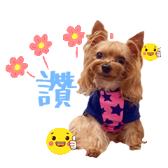 公主駕到