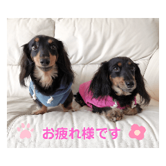 miki_20211123173243