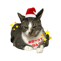 みずののおなす