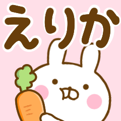 Rabbit Usahina erika