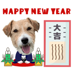 うめちゃんのクリスマス＆お正月