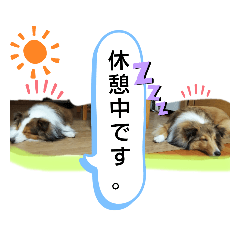 miki_20211123221454
