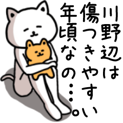 Sticker of KAWANOBE(CAT)