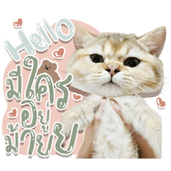 Iamnook_20211123015850