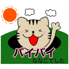 Name cat Nanako