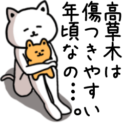 Sticker of TAKAKUSAKI(CAT)