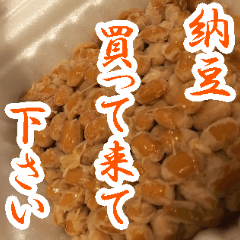 Fermented Soybeans NATTO