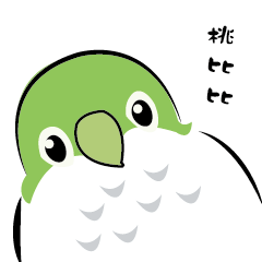 Green Monk Parrot-To Bibi