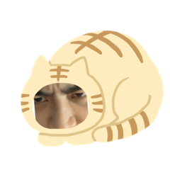 表情包♡